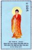 DaiBiChu65.jpg